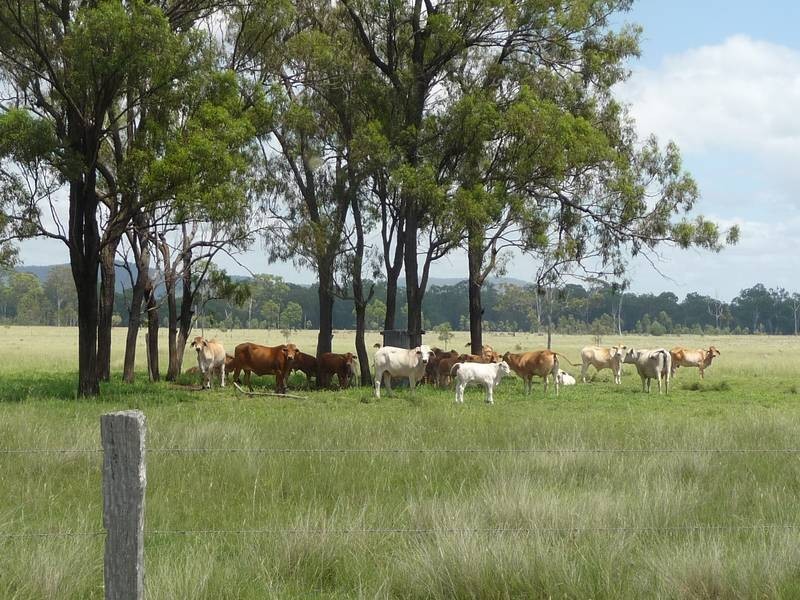 Biggenden QLD 4621