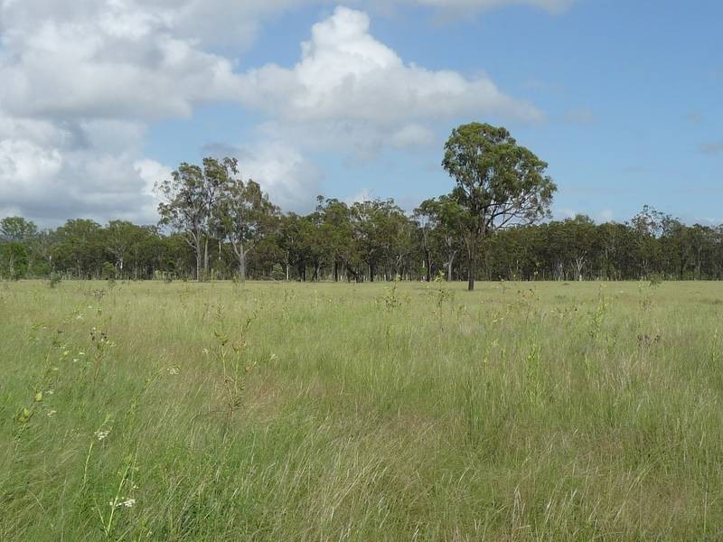 Lot 12 & 111,  Rifle Range Road, Biggenden QLD 4621