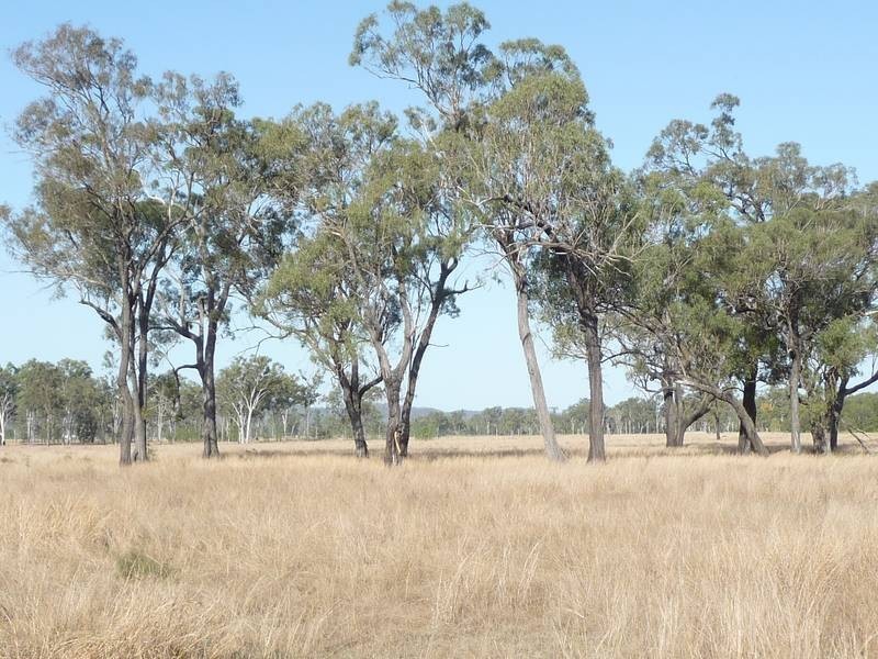 Biggenden QLD 4621