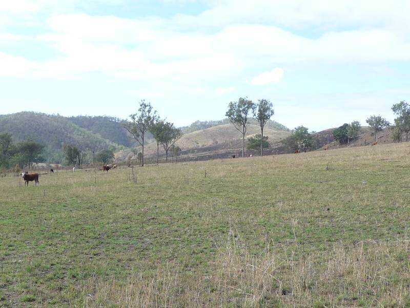 Monto Road, MOUNT PERRY, Gin Gin QLD 4671