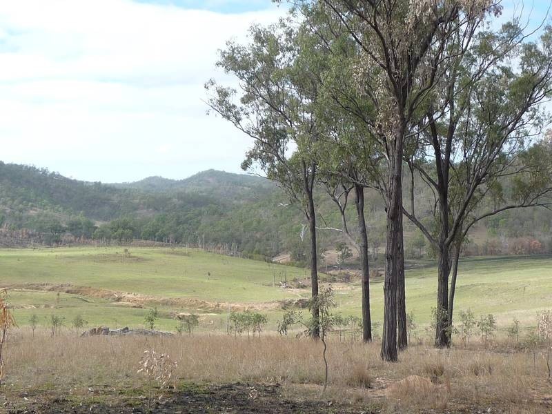 Monto Road, MOUNT PERRY, Gin Gin QLD 4671