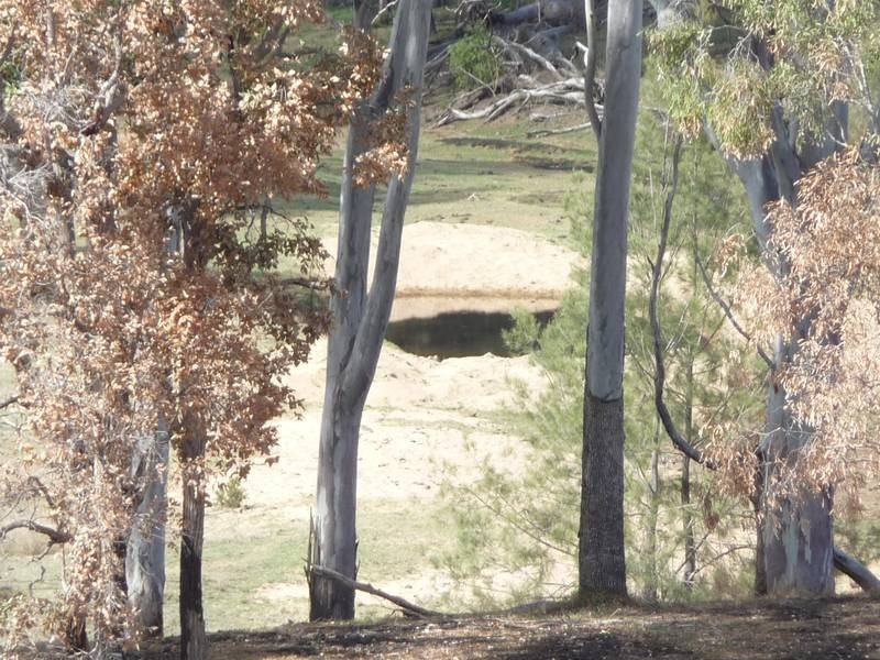 Monto Road, MOUNT PERRY, Gin Gin QLD 4671