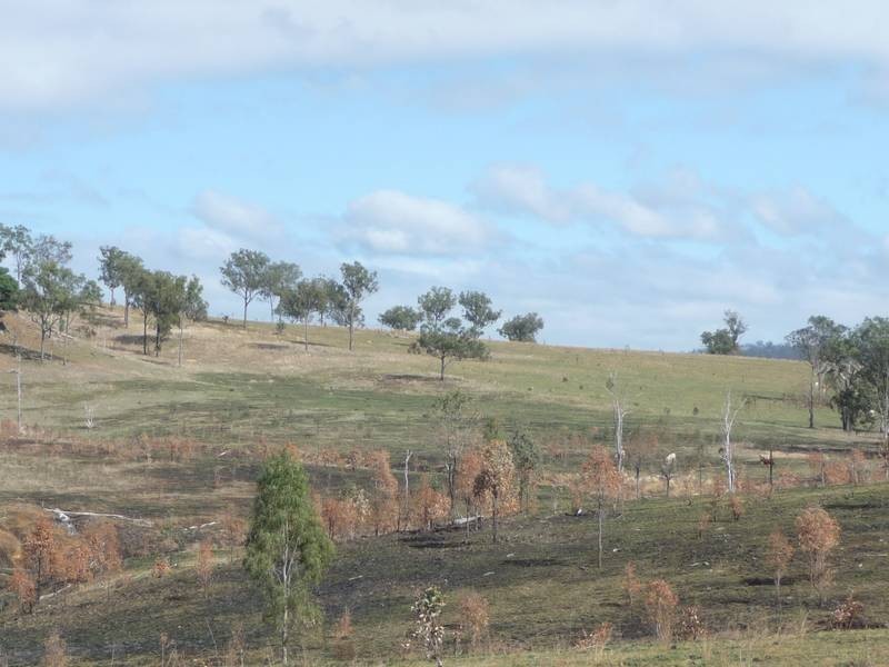 Monto Road, MOUNT PERRY, Gin Gin QLD 4671