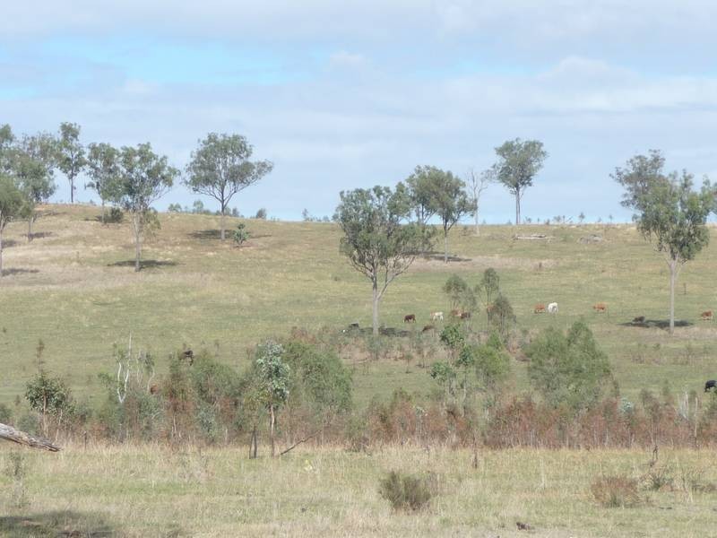 Monto Road, MOUNT PERRY, Gin Gin QLD 4671