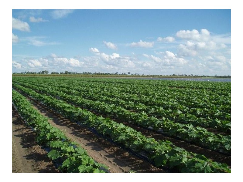 136 Gordons Road, ALLOWAY, Bundaberg QLD 4670