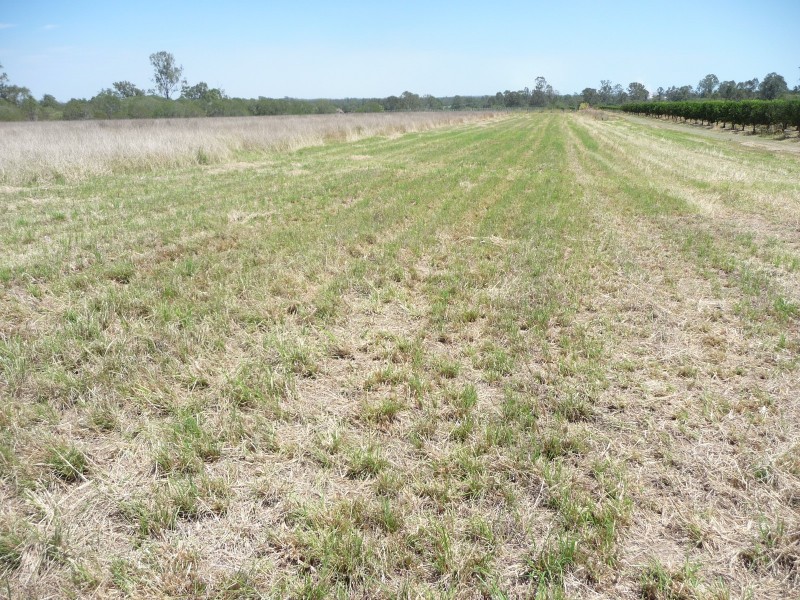32515 Bruce Highway, Wallaville QLD 4671