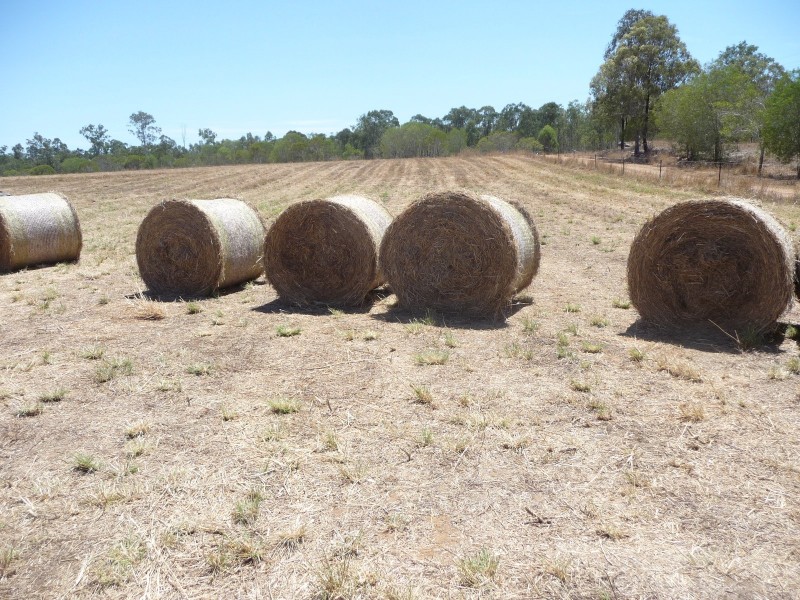 32515 Bruce Highway, Wallaville QLD 4671
