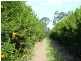 32515 Bruce Highway, Wallaville QLD 4671