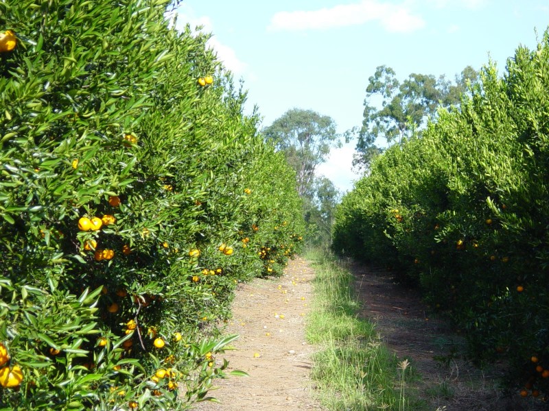 32515 Bruce Highway, Wallaville QLD 4671