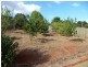 Childers QLD 4660