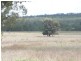 Eidsvold QLD 4627
