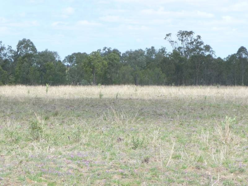 Eidsvold QLD 4627