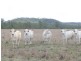 Eidsvold QLD 4627