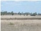 Eidsvold QLD 4627