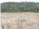 Eidsvold QLD 4627