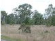 Eidsvold QLD 4627