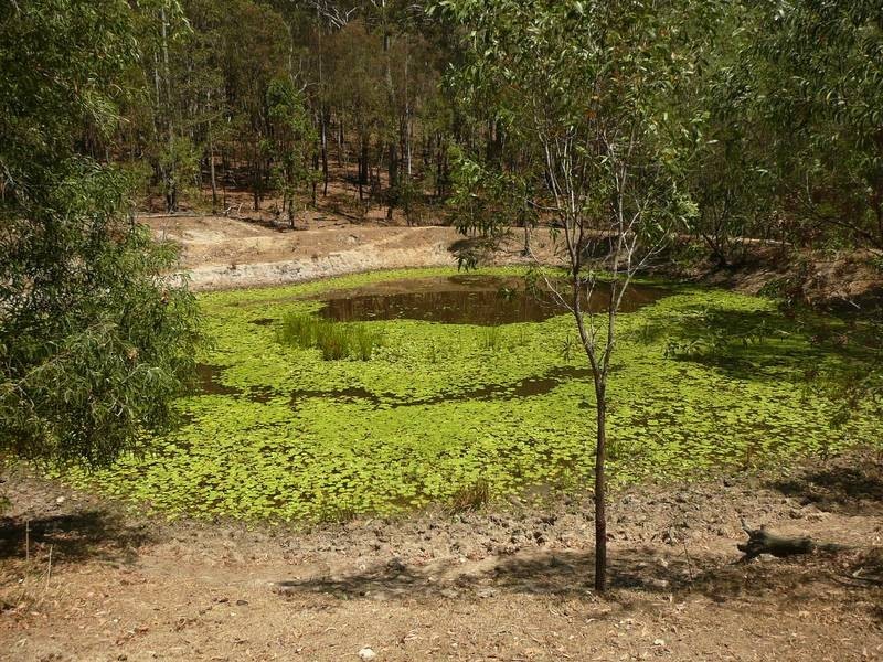 A BRANCH ROAD, MOUNT PERRY, Gin Gin QLD 4671