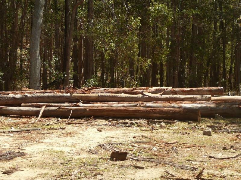 A BRANCH ROAD, MOUNT PERRY, Gin Gin QLD 4671