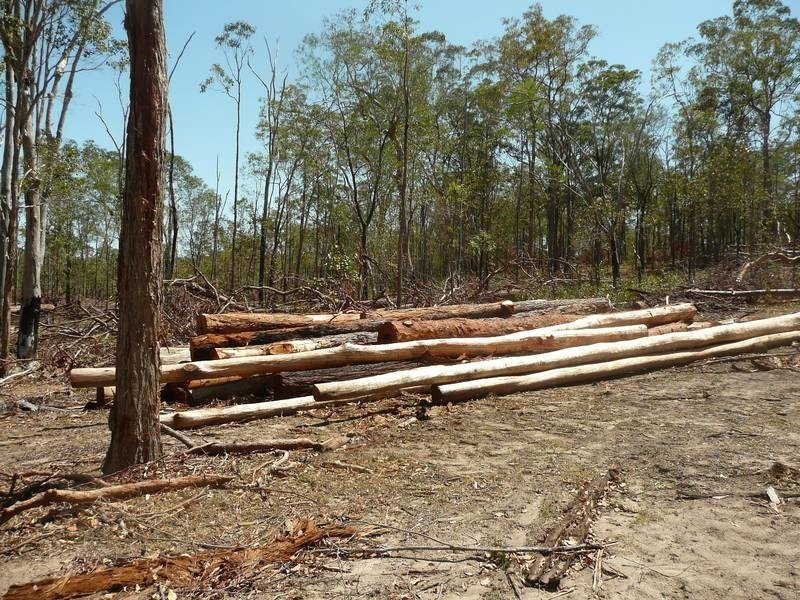 A BRANCH ROAD, MOUNT PERRY, Gin Gin QLD 4671