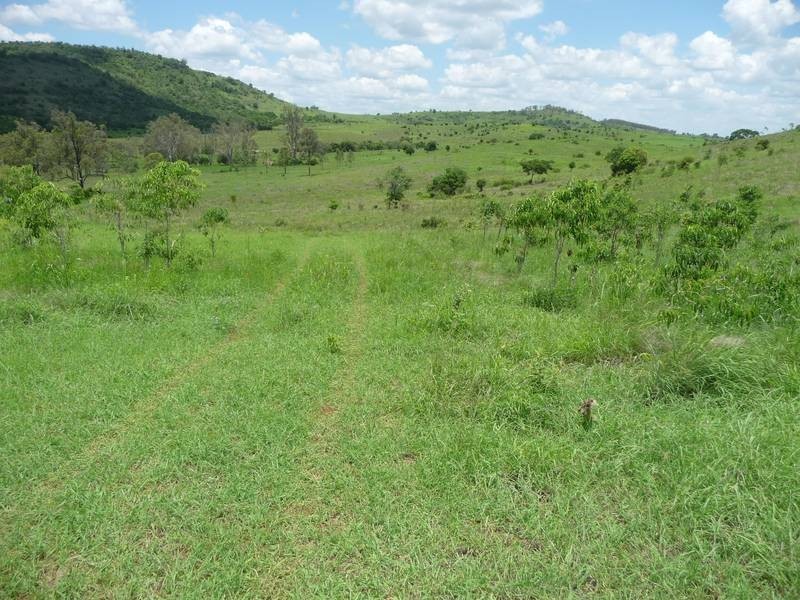 A GRIFFINS ROAD, DEGILBO, Biggenden QLD 4621