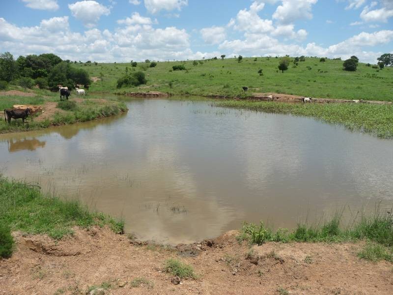 A GRIFFINS ROAD, DEGILBO, Biggenden QLD 4621