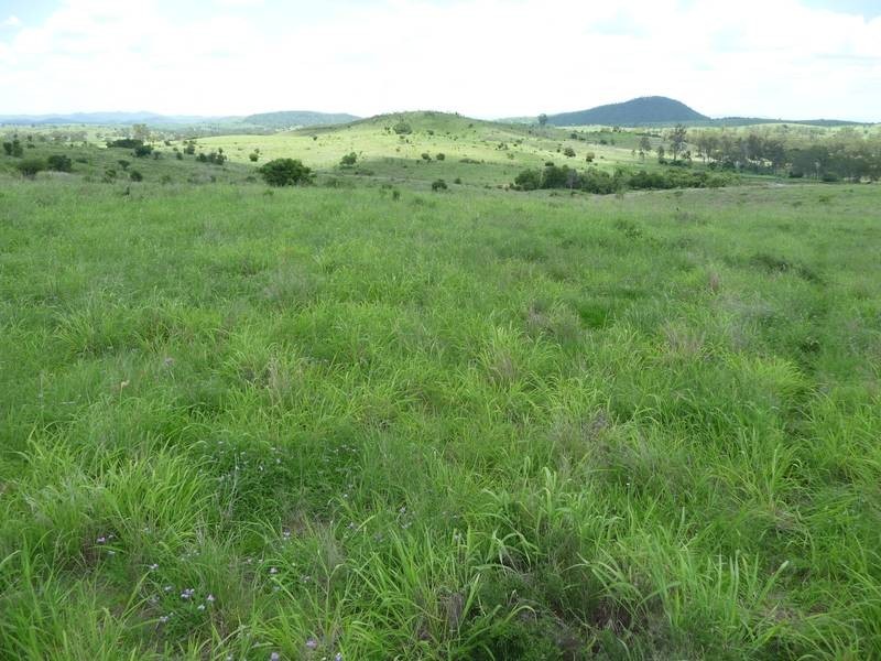 A GRIFFINS ROAD, DEGILBO, Biggenden QLD 4621