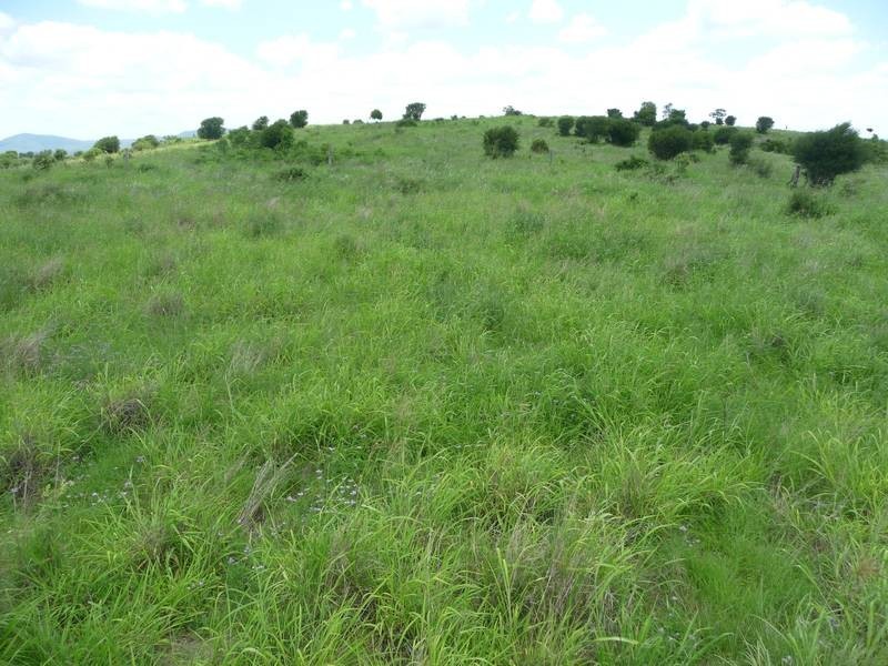 A GRIFFINS ROAD, DEGILBO, Biggenden QLD 4621