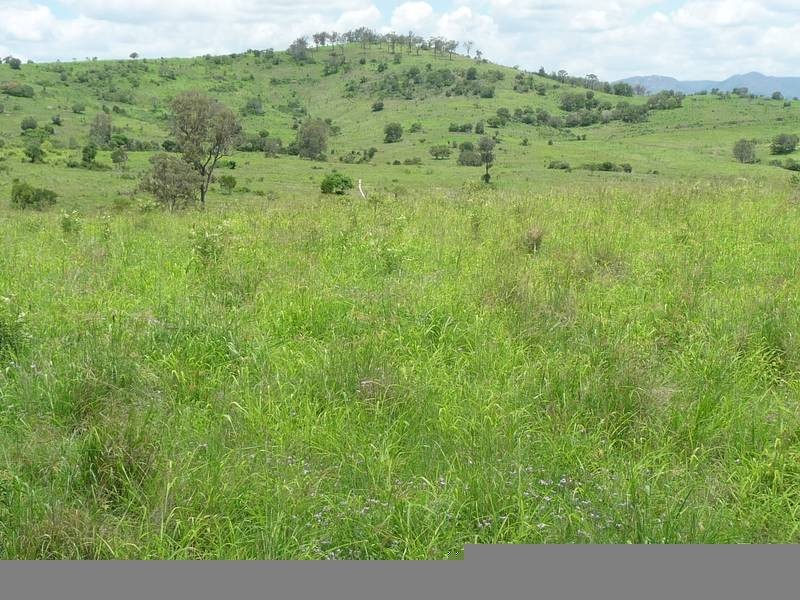 A GRIFFINS ROAD, DEGILBO, Biggenden QLD 4621