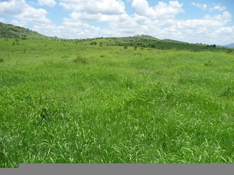 A GRIFFINS ROAD, DEGILBO, Biggenden QLD 4621