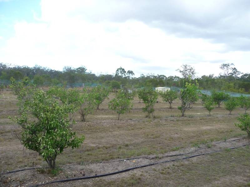 104 Buxton Road, Buxton QLD 4660