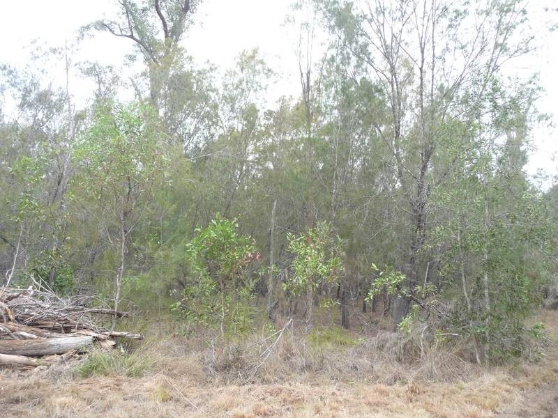 77 Oakview Drive, Redridge QLD 4660