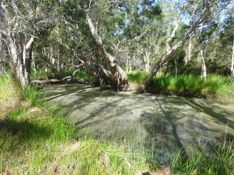 128 Lambs Road, Isis River QLD 4660