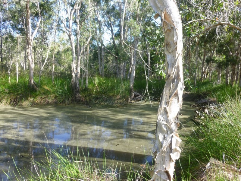 128 Lambs Road, Isis River QLD 4660