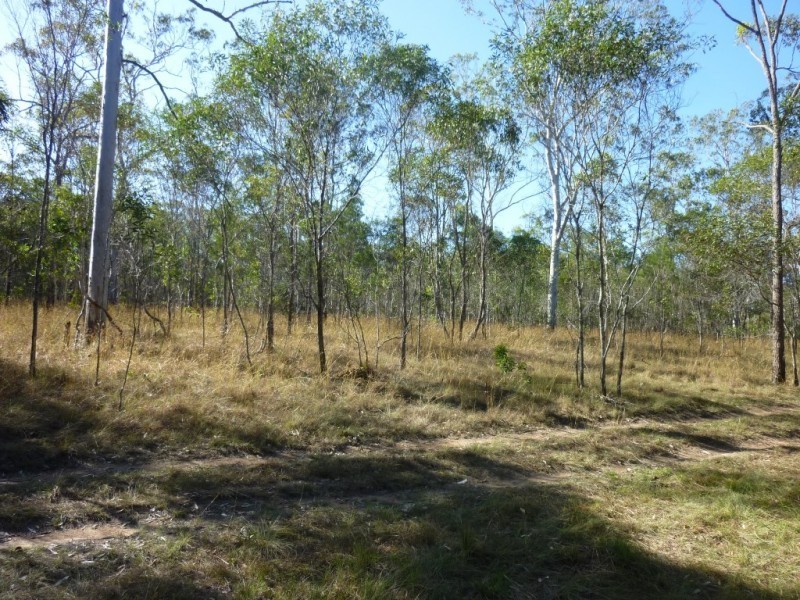 128 Lambs Road, Isis River QLD 4660