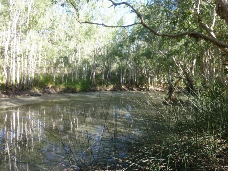 128 Lambs Road, Isis River QLD 4660