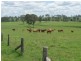1095 Gigoomgan Road, BROOWEENA, Biggenden QLD 4621