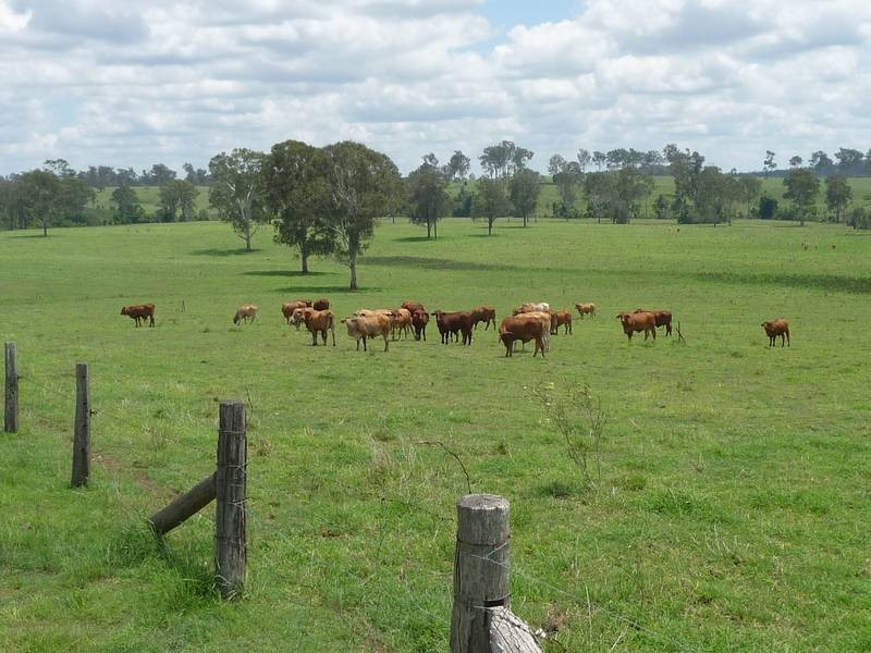 1095 Gigoomgan Road, BROOWEENA, Biggenden QLD 4621