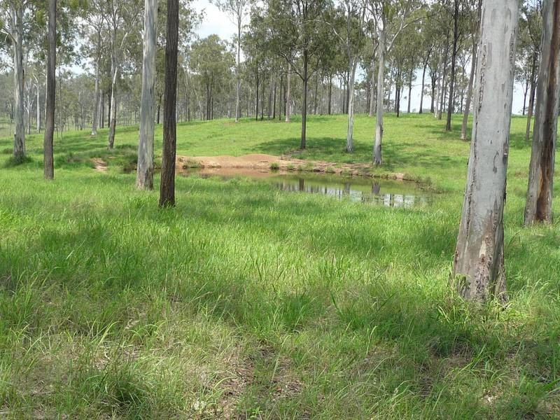 1095 Gigoomgan Road, BROOWEENA, Biggenden QLD 4621