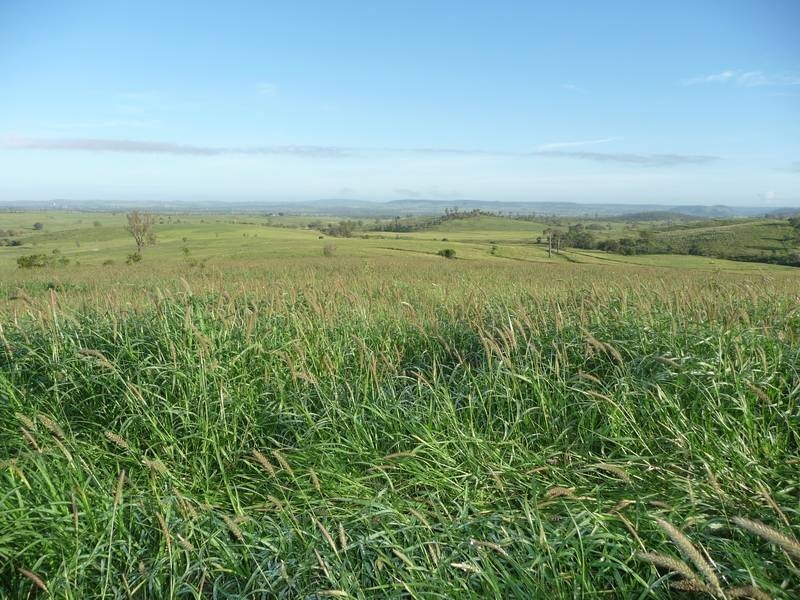 Back Glenrae Road, Mundubbera QLD 4626