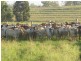 Back Glenrae Road, Mundubbera QLD 4626