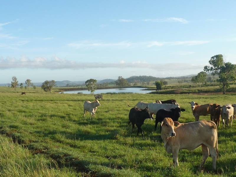 Back Glenrae Road, Mundubbera QLD 4626