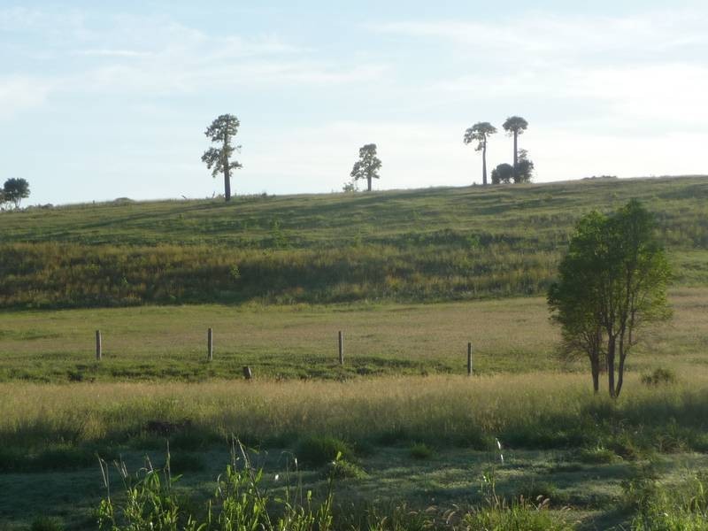 Back Glenrae Road, Mundubbera QLD 4626