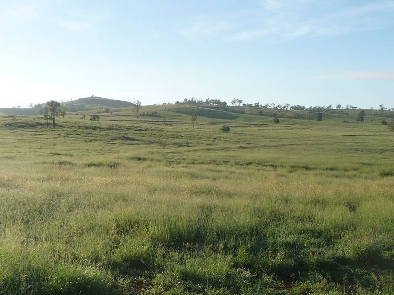 Back Glenrae Road, Mundubbera QLD 4626