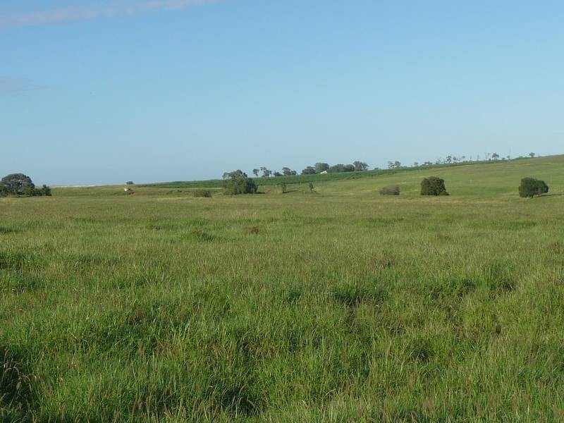 Back Glenrae Road, Mundubbera QLD 4626