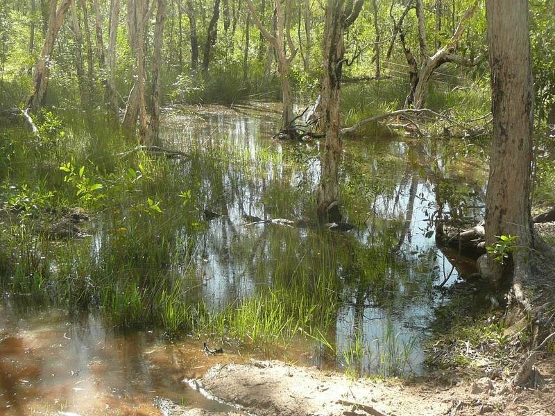 Lot 10, 166 Berries Road, Childers QLD 4660