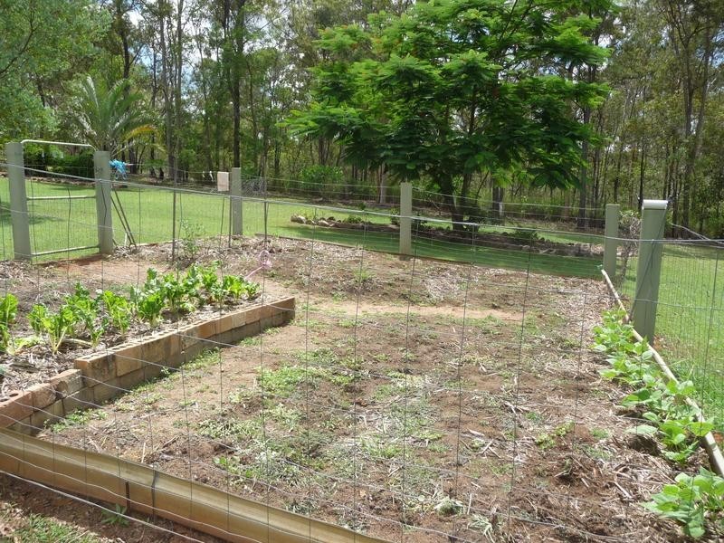 22 Jacksons Road, Childers QLD 4660