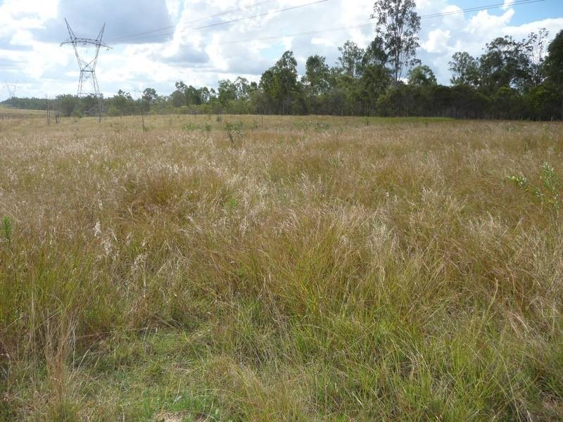 7463 ISIS HIGHWAY, Dallarnil QLD 4621