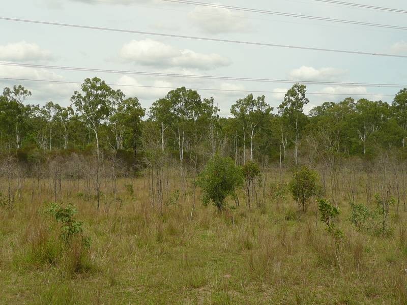 7463 ISIS HIGHWAY, Dallarnil QLD 4621