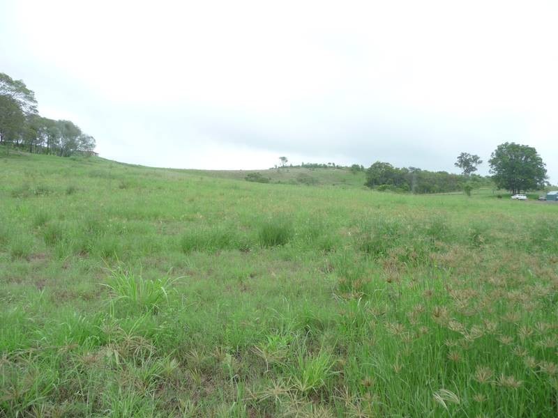 25 ATC HALL ROAD, Apple Tree Creek QLD 4660