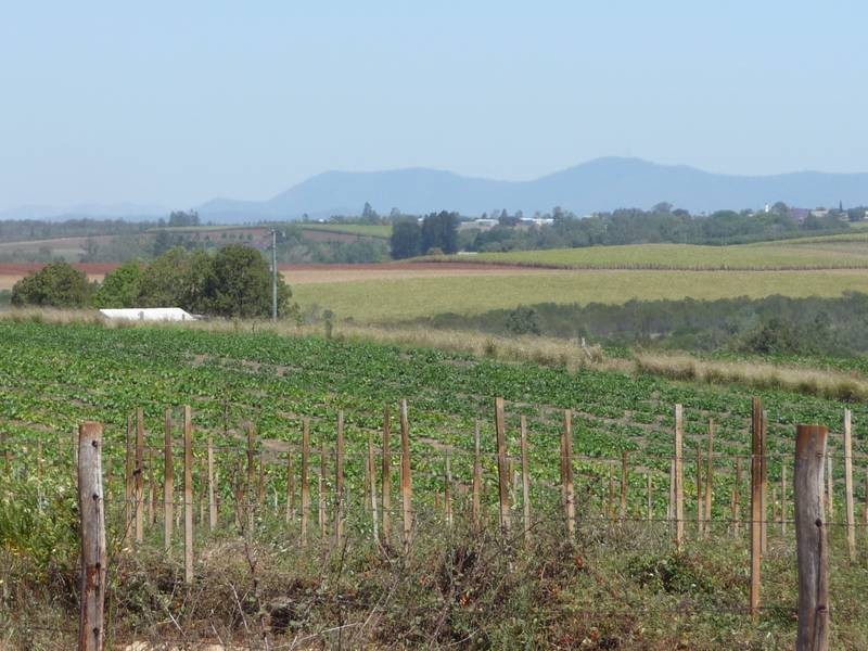 L79 ABINGTON ROAD, ABINGTON, Childers QLD 4660